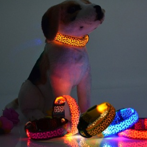 Leopard Print Luminous Collar