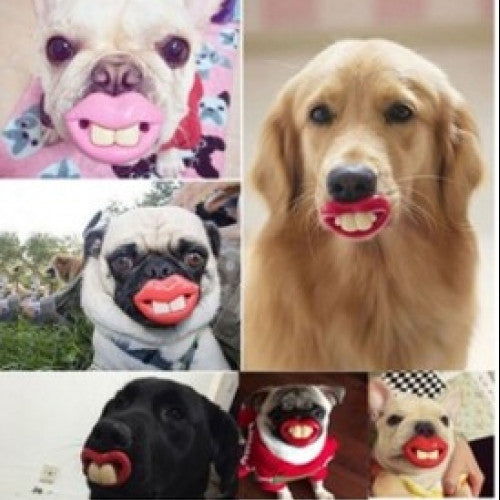 Funny Teeth Pacifier Chew Toy